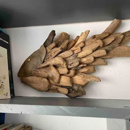 Terrasse Proche Technopole Et Marine Appartement *