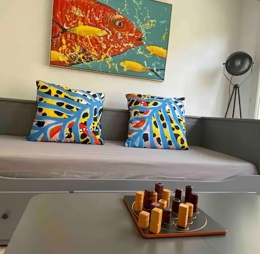 Terrasse Proche Technopole Et Marine Brest