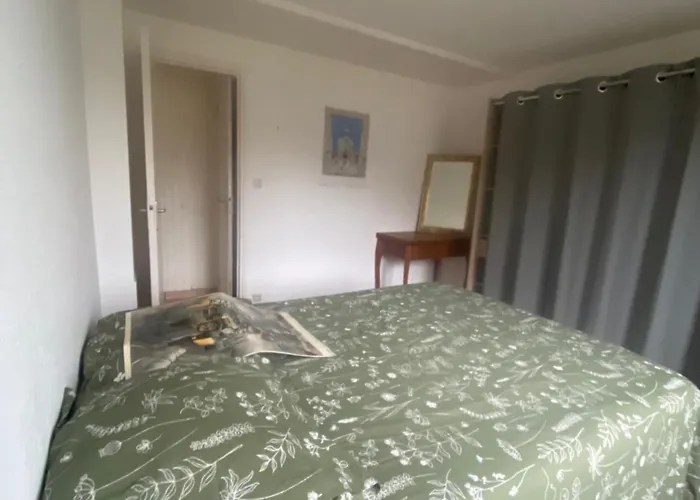 Terrasse Proche Technopole Et Marine Appartement Brest